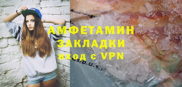 гидра Володарск