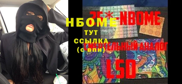 гидра Володарск